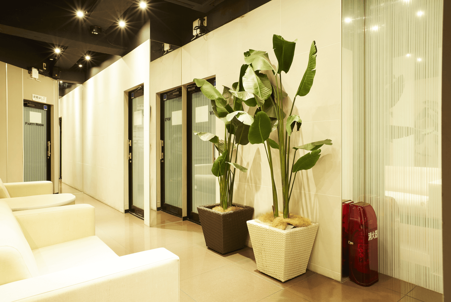 カラオケでレッスン…？自由が丘スタジオを調査しました！