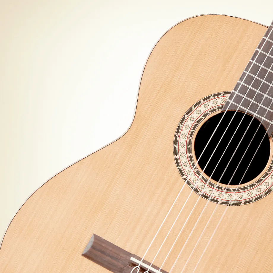 音の伝達が良い表板