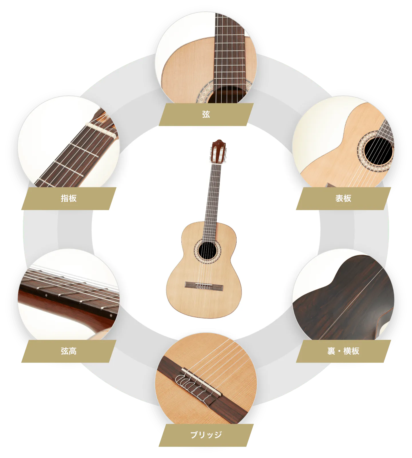 指板 弦 表板 裏・横板 ブリッジ 弦高