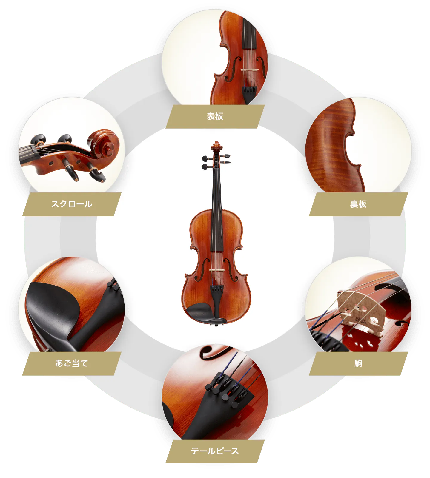 スクロール 表板 裏板 駒 テールピース あご当て