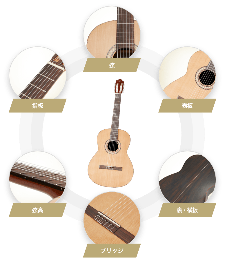 指板　弦　表板　裏・横坂　ブリッジ　弦高
