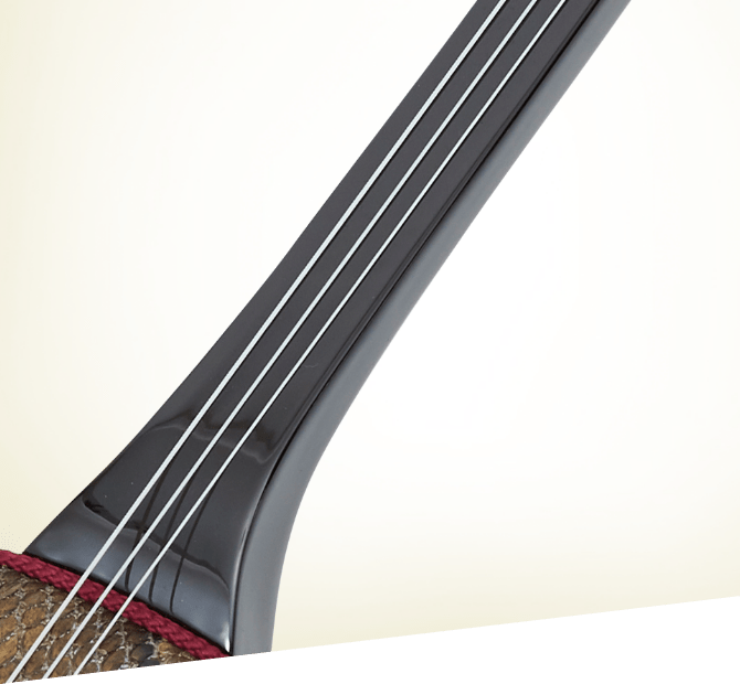 破光沢のある美しい棹