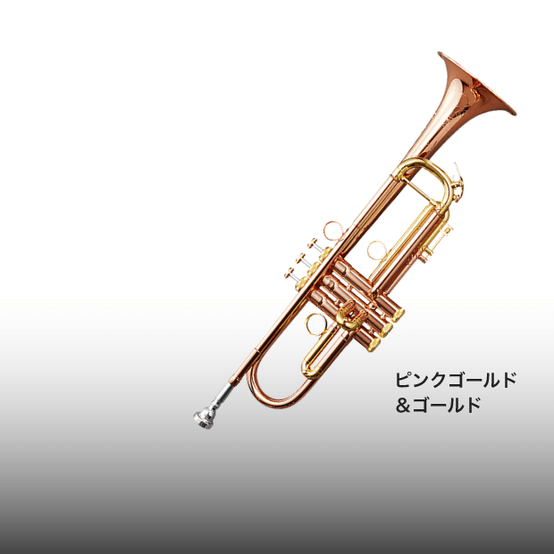 豊かで伸びやかな音色、個性あふれる３タイプのバイカラー