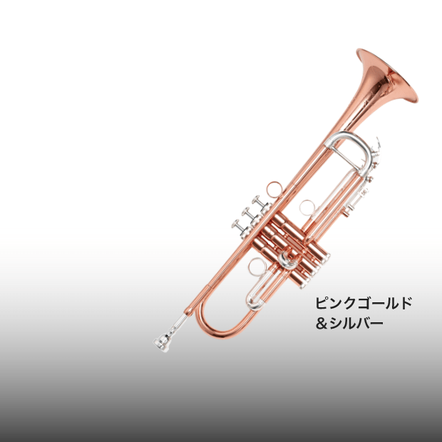 豊かで伸びやかな音色、個性あふれる３タイプのバイカラー