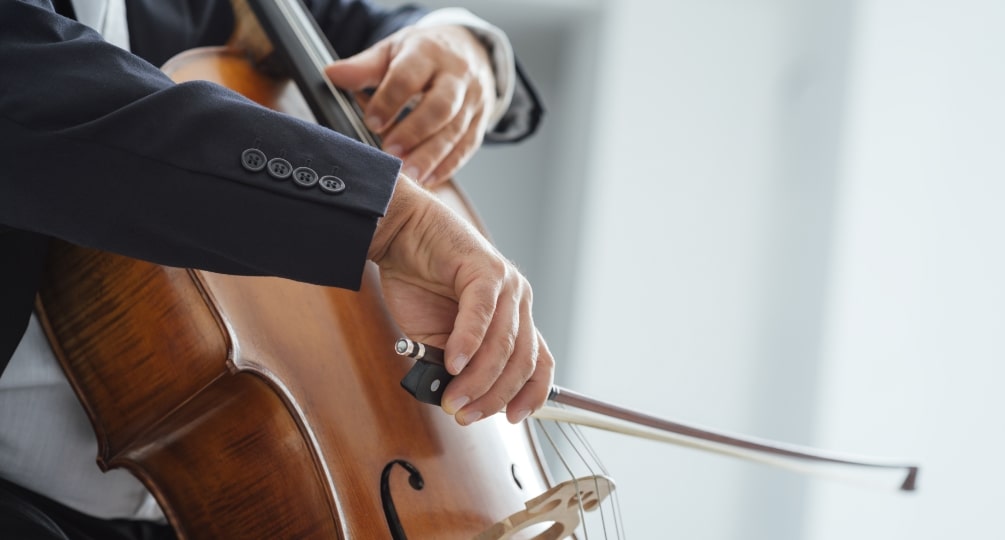 ポリシー3の画像